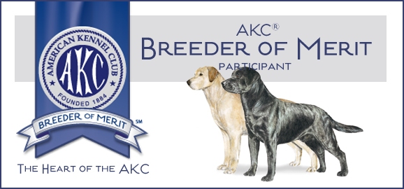 Labs to Love AKC Breeder of Merit