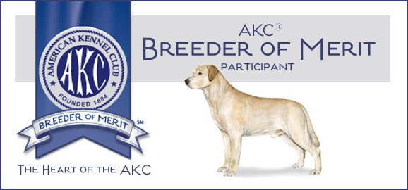 AKC Breeder of Merit Labs To Love