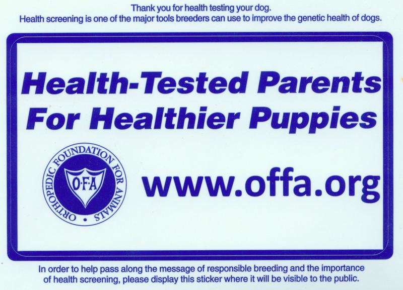 Labs To Love Health Tested Lab parents to lab pups