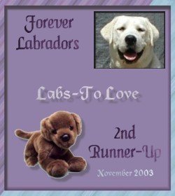 www.labstolove.com award winning website for lab pups