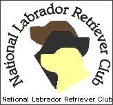 Labrador Club member, Labrador club breeder list, lab clubs, lab blogs