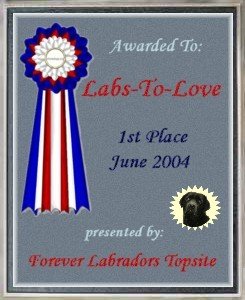 www.labstolove.com award winning website for lab pups